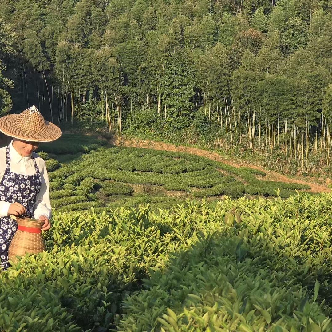 岩首一茶叶坊