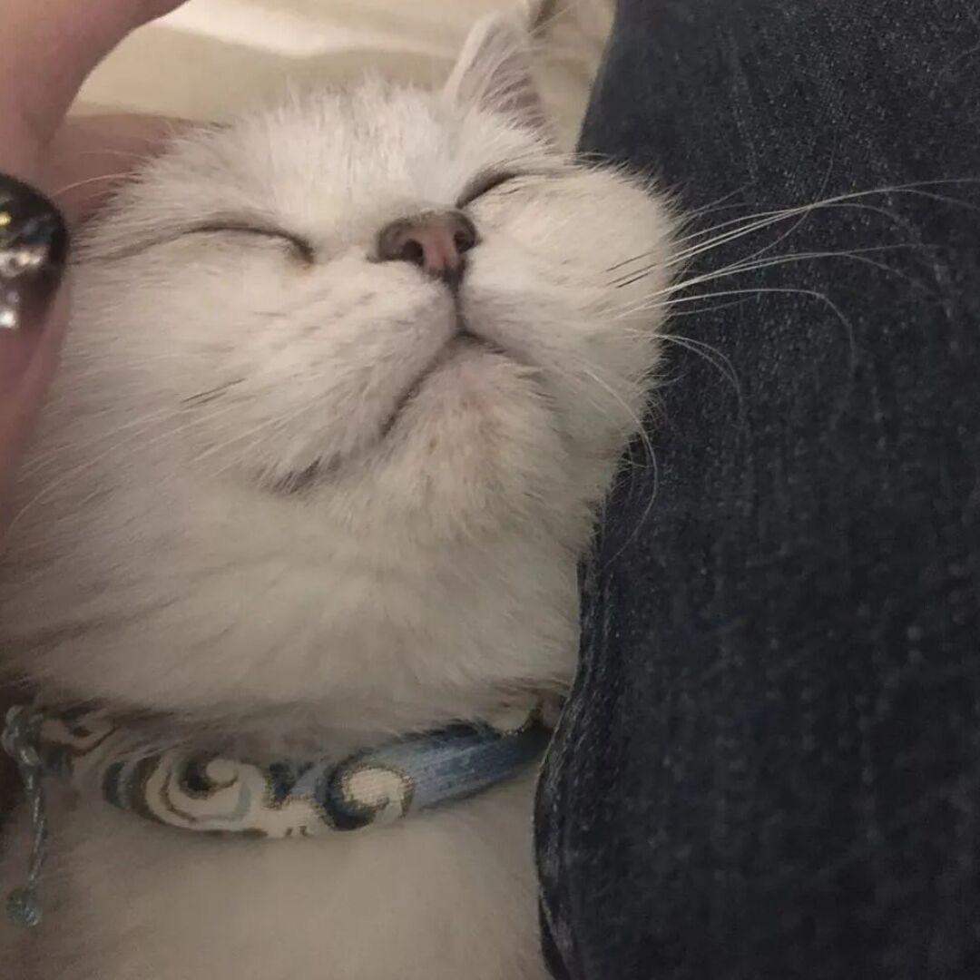 okok
