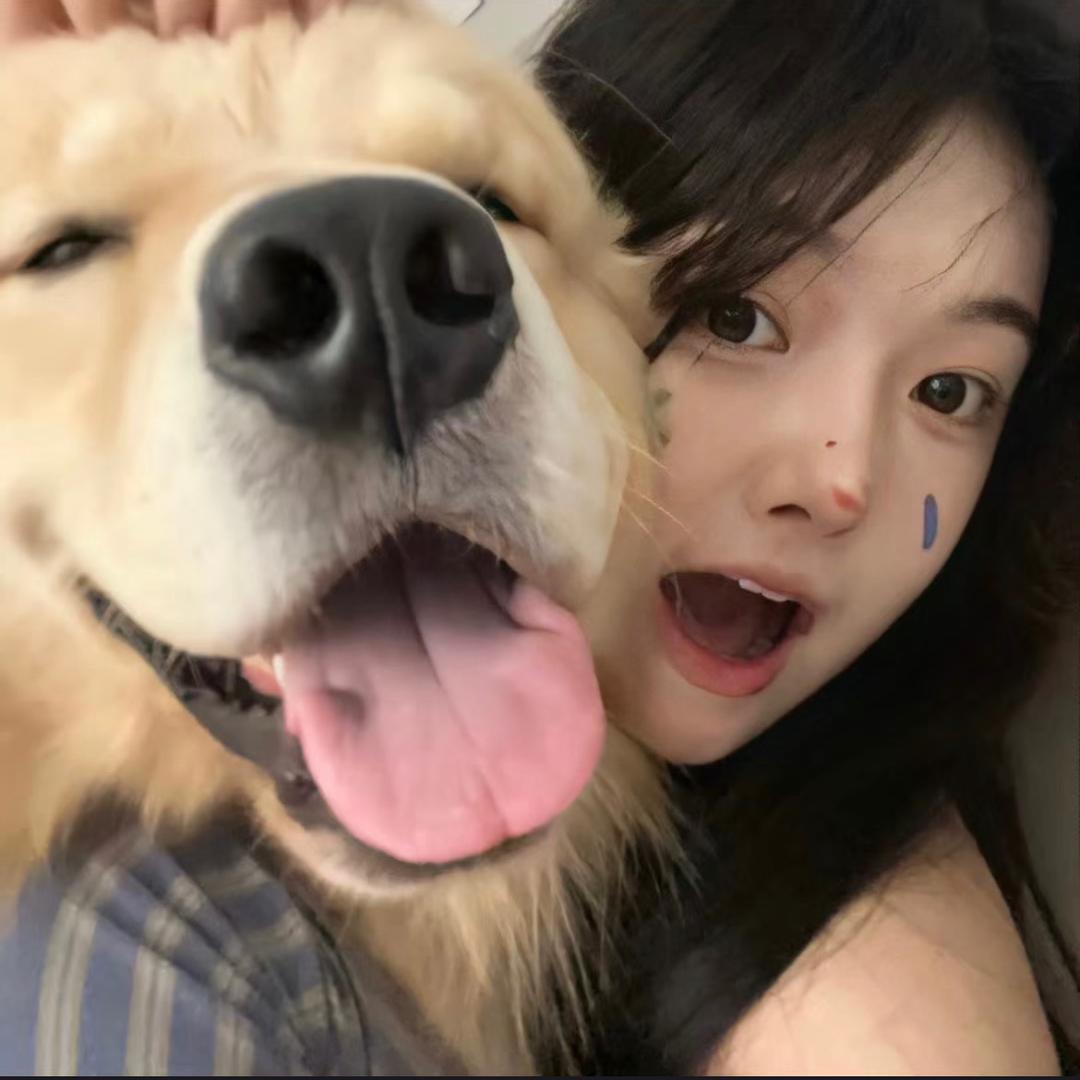 睡觉觉🦒