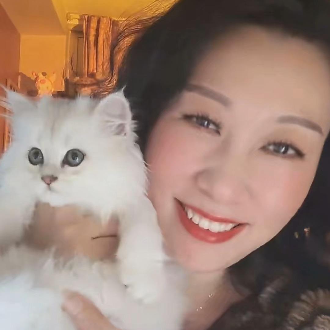 木木羊