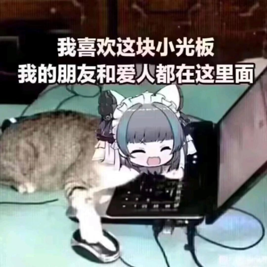 脆弱的肥宅