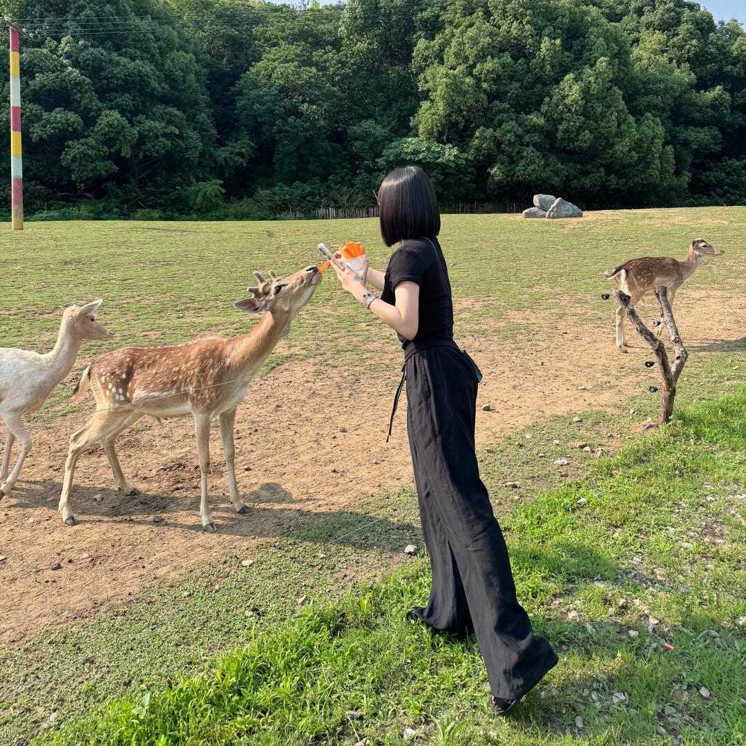 〰·财神爷独生女.