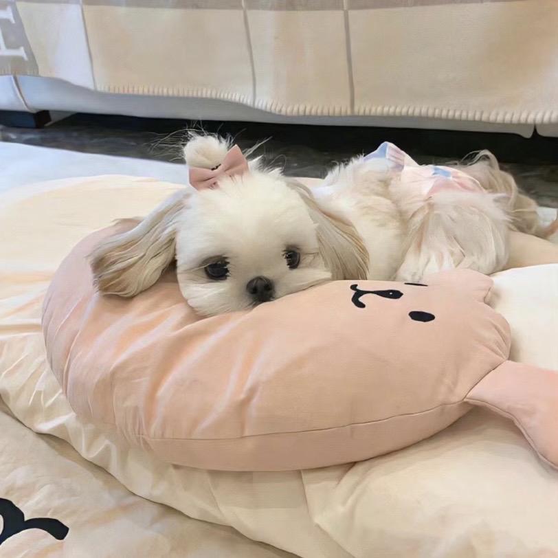 白开水.