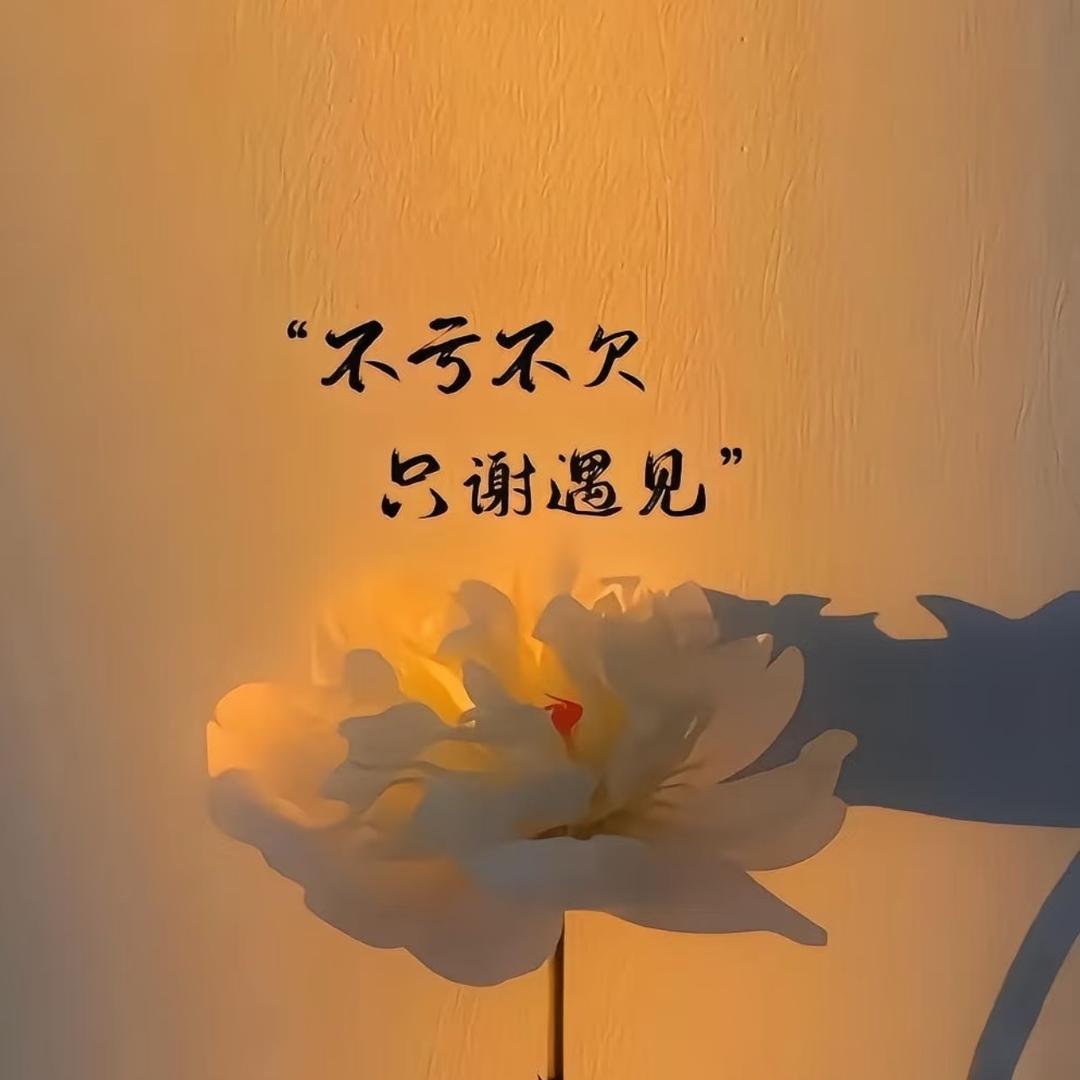 甜妹～再生资源回收