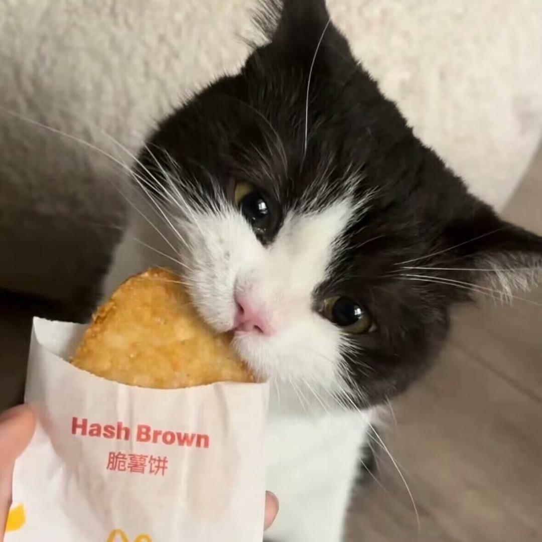 麦麦薯饼
