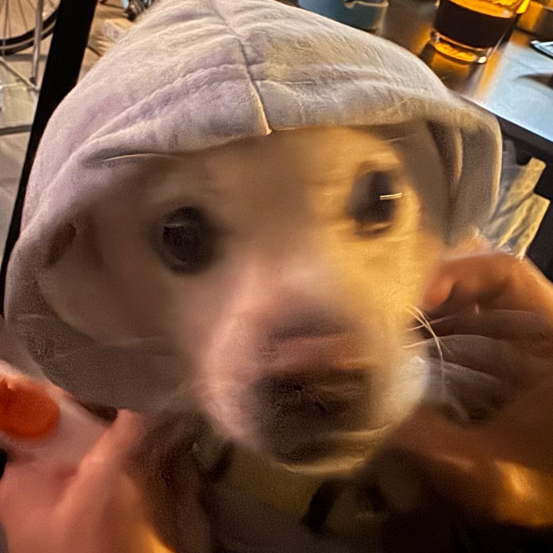 叫我大可（有🌞版）