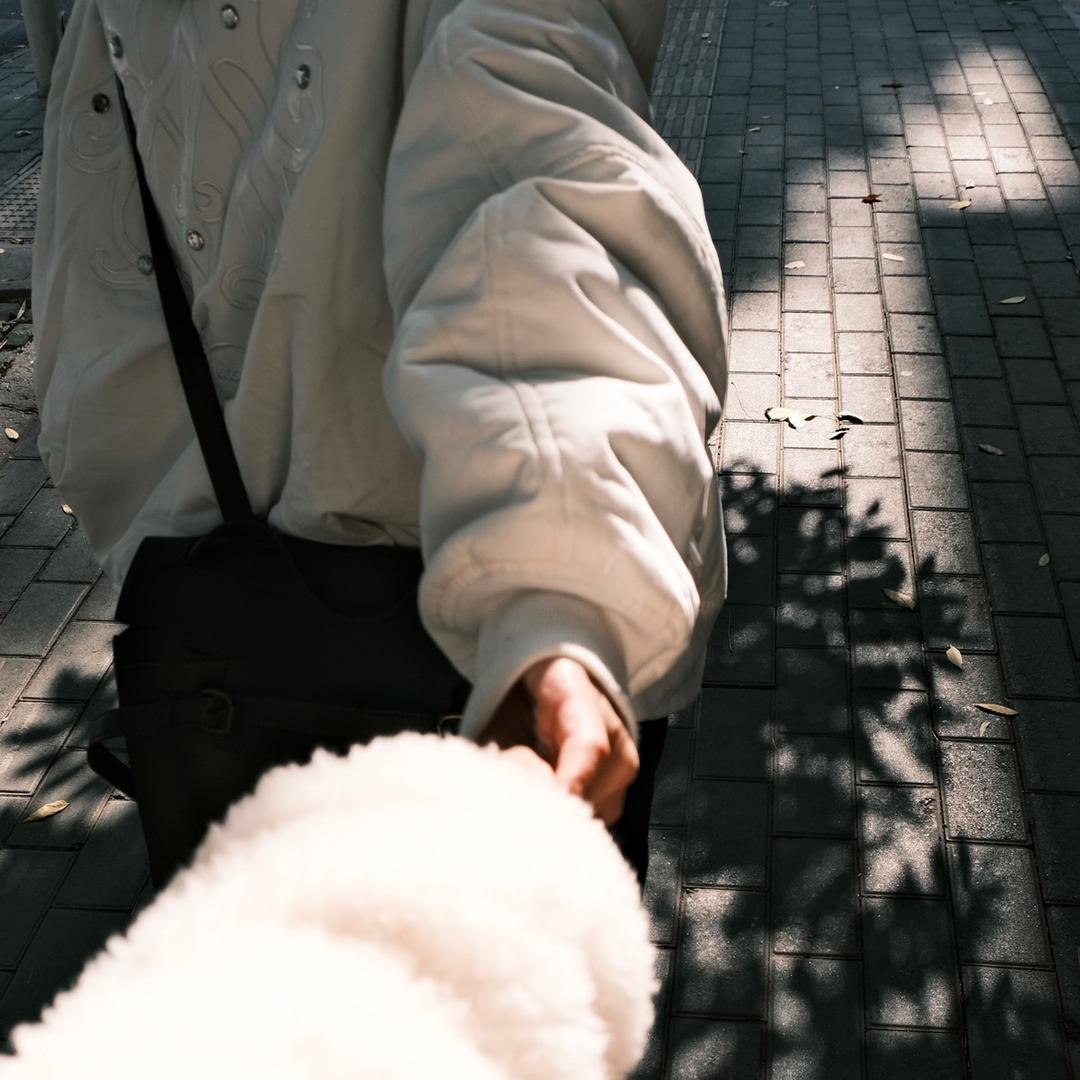 Mango-dan🐶