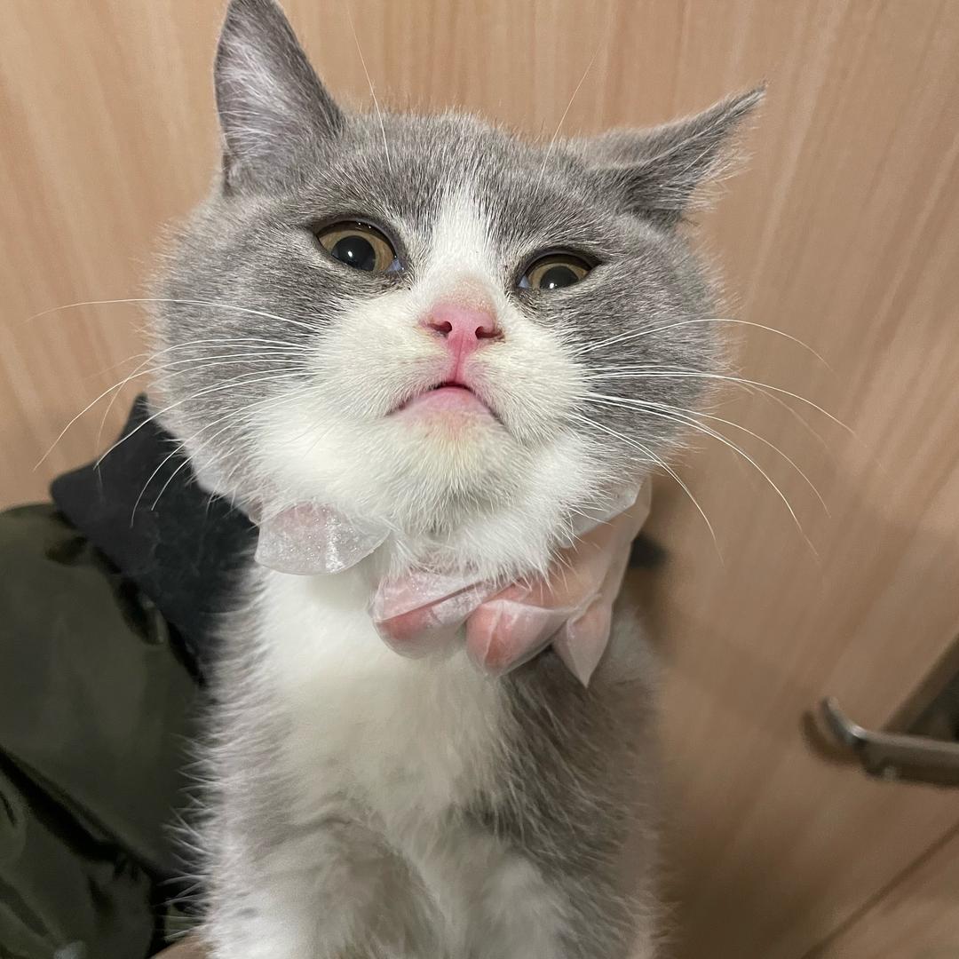 骚起来好难