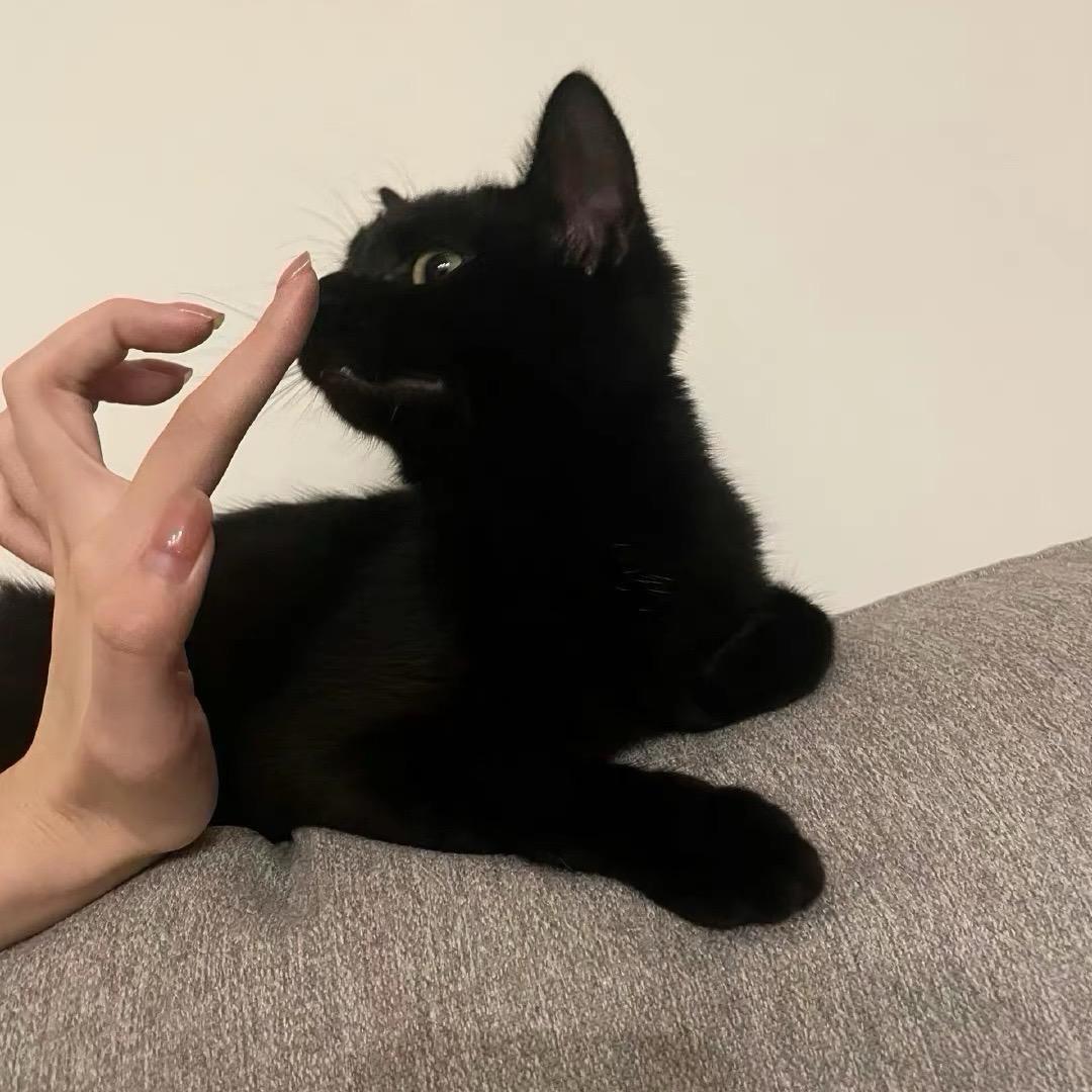 1  .