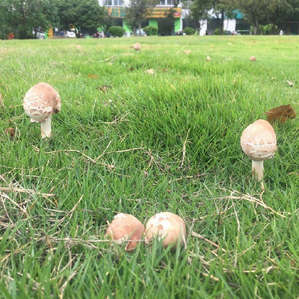 原来你也在这里