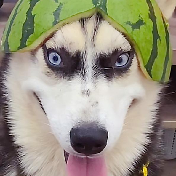 一点.............