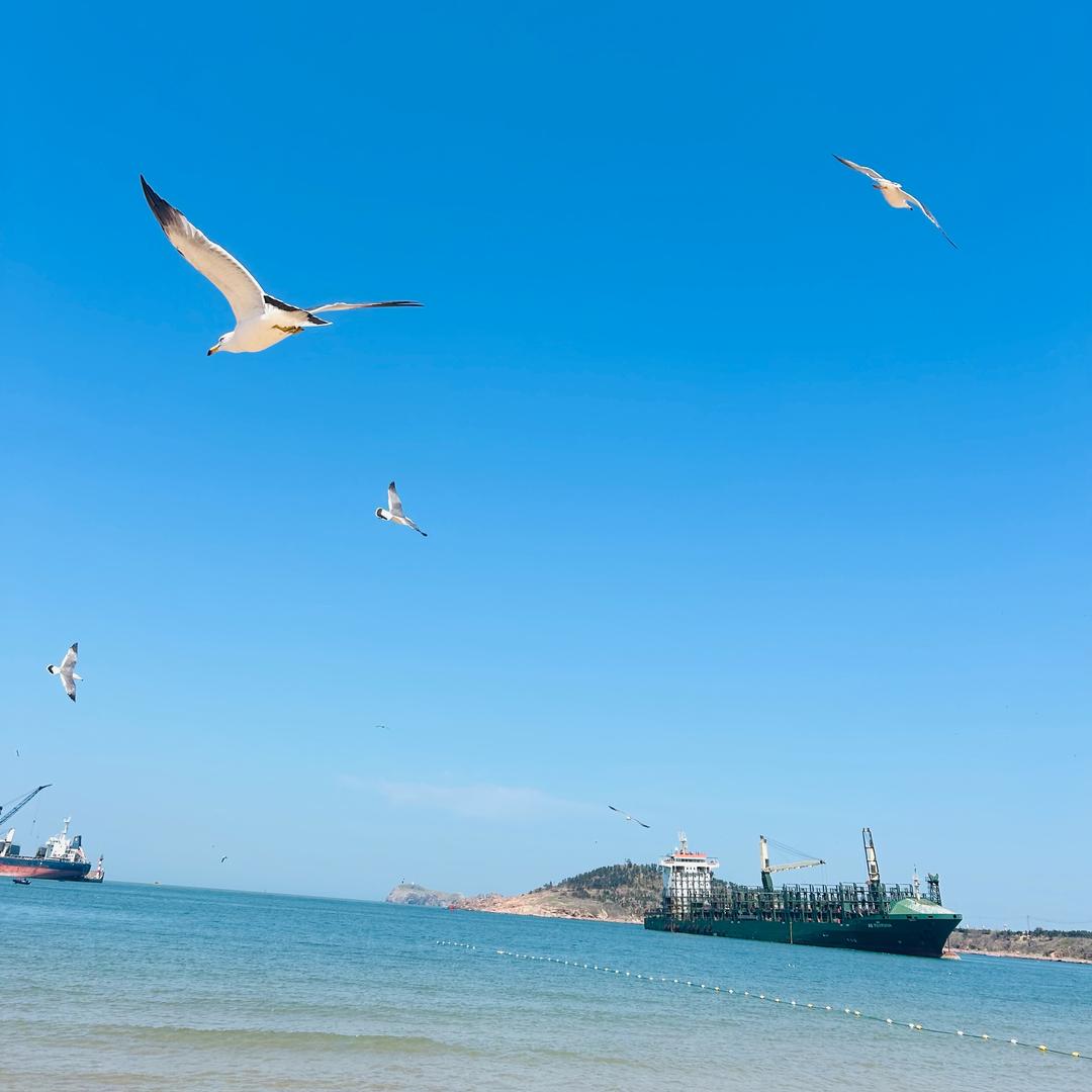 浪子回頭、