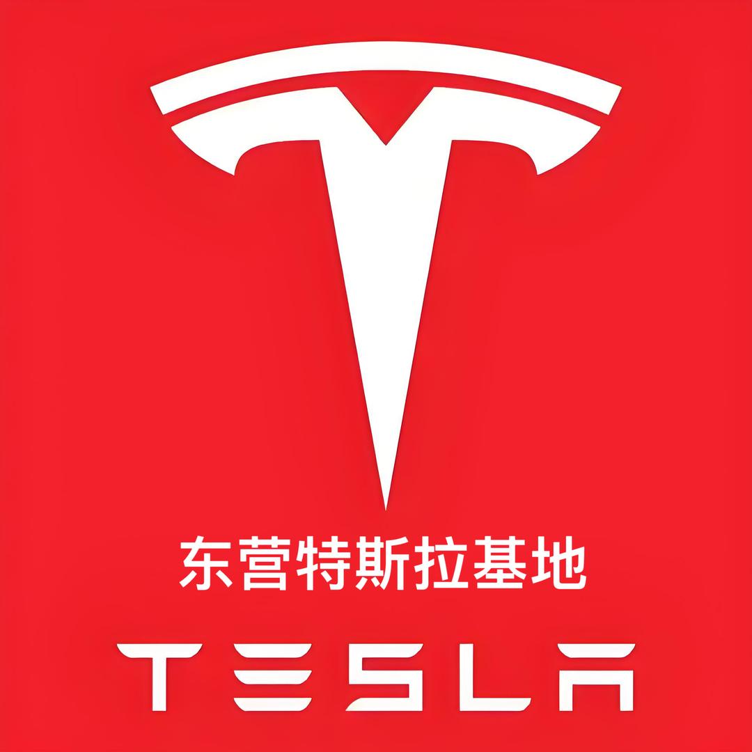 东营二手特斯拉