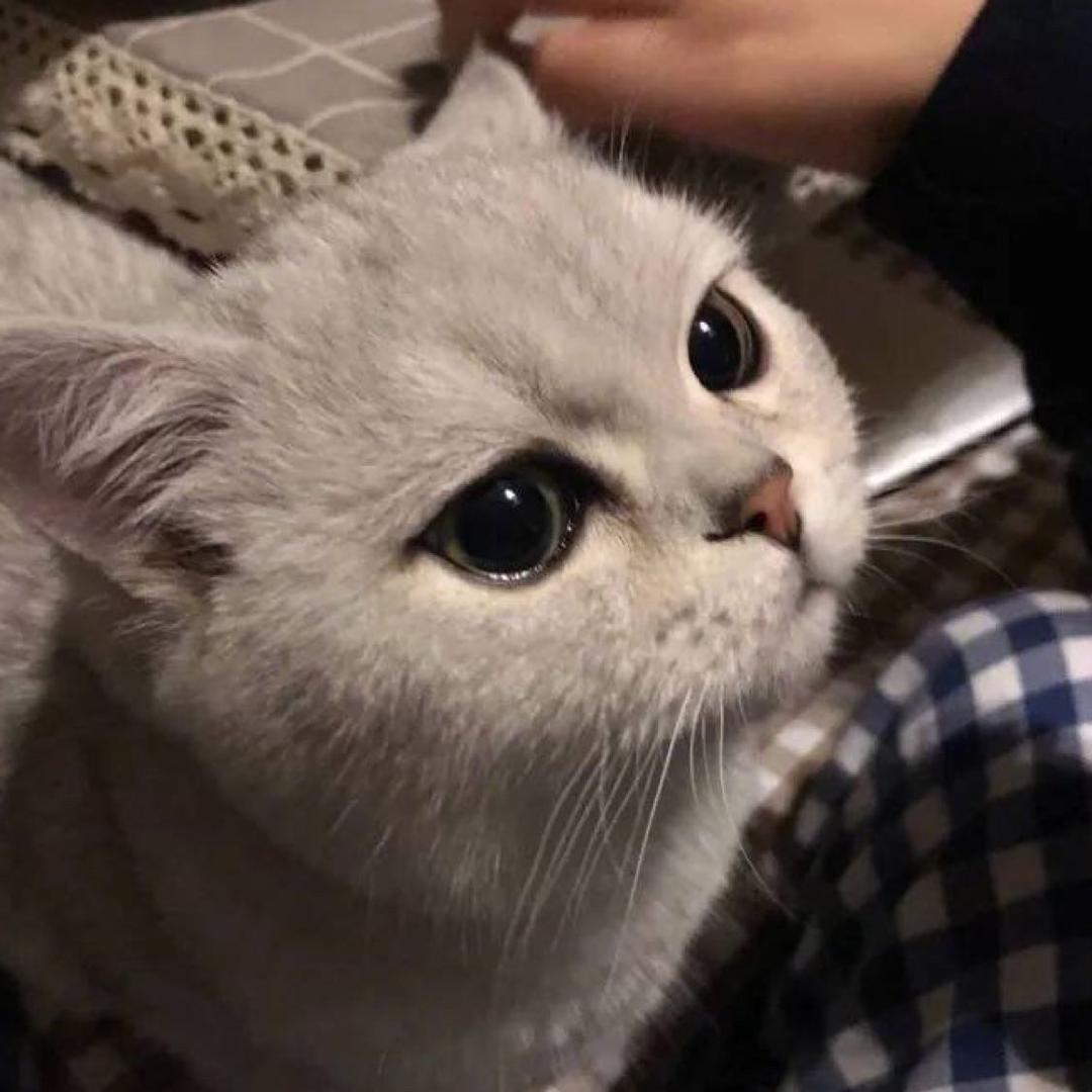 赵永辉
