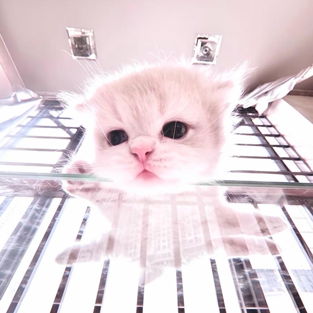 Yyumibabe