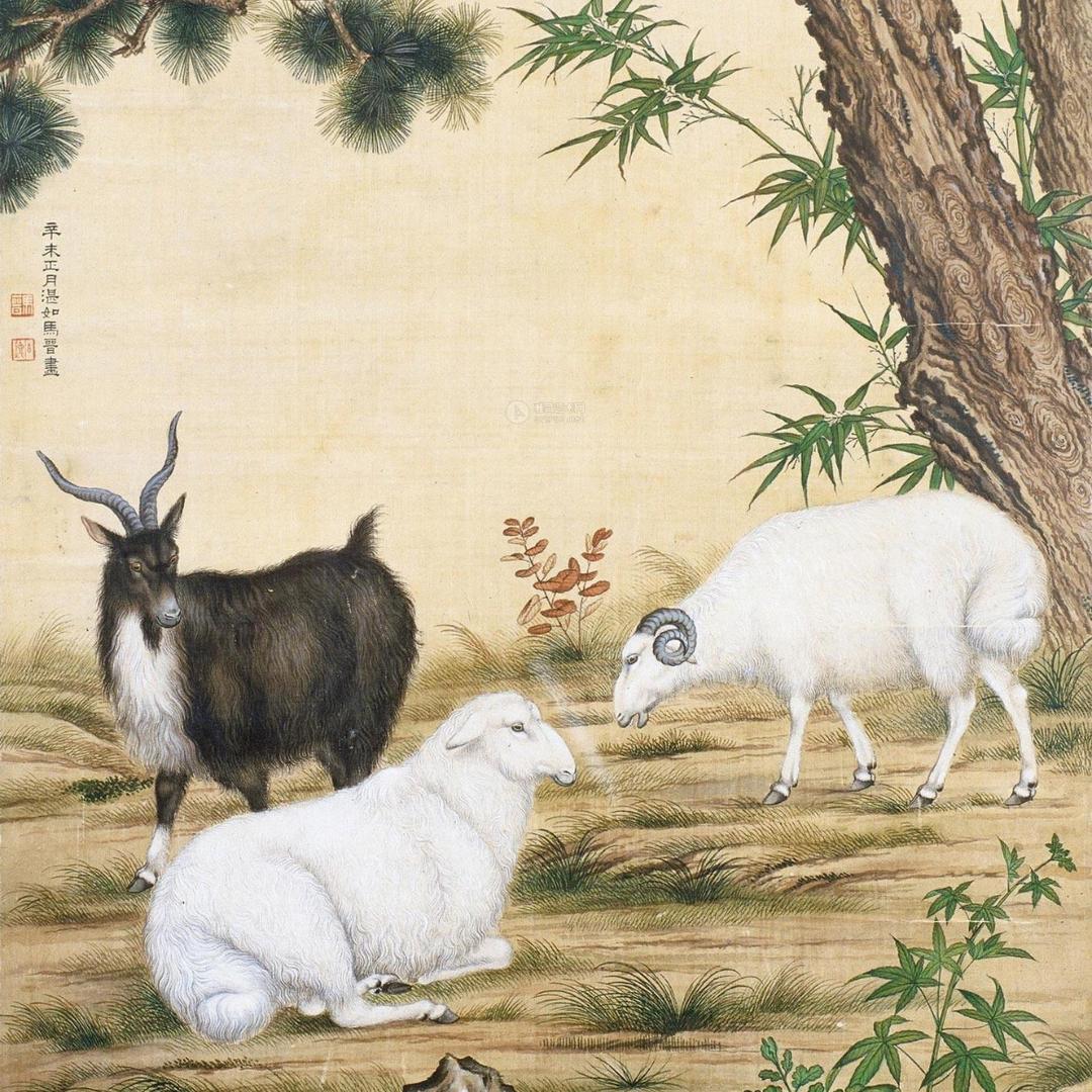 兰兰