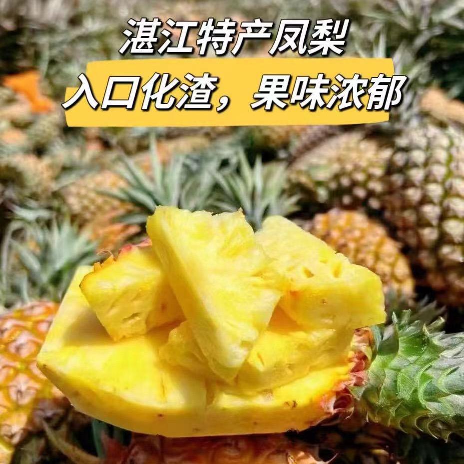 小孟菠萝凤梨供应链
