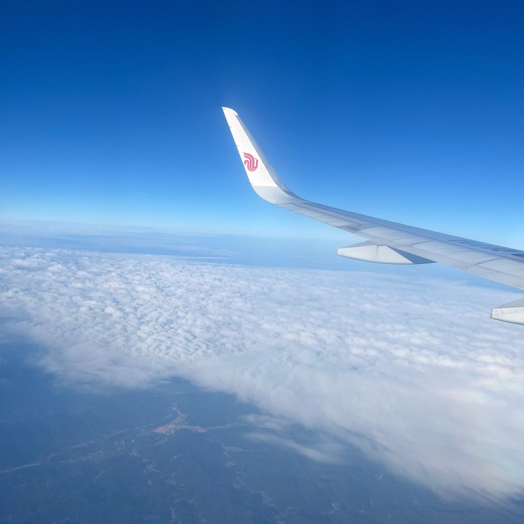 四叶草