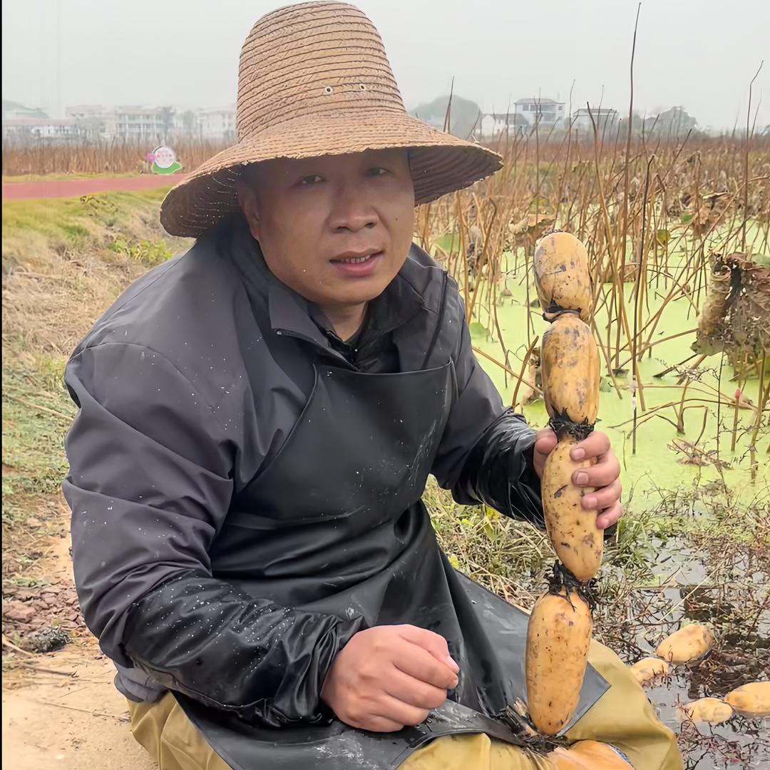 老张的藕粉很正宗