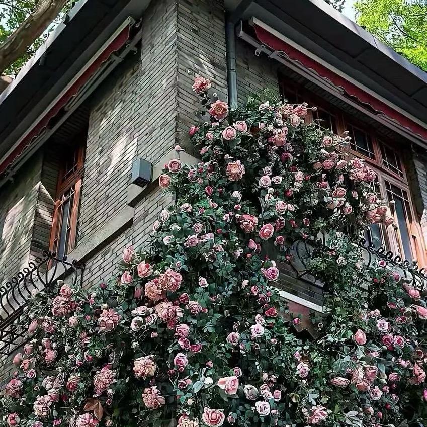 𝑫𝒂𝒏 𝒛𝒆𝒏𝒈🧤77