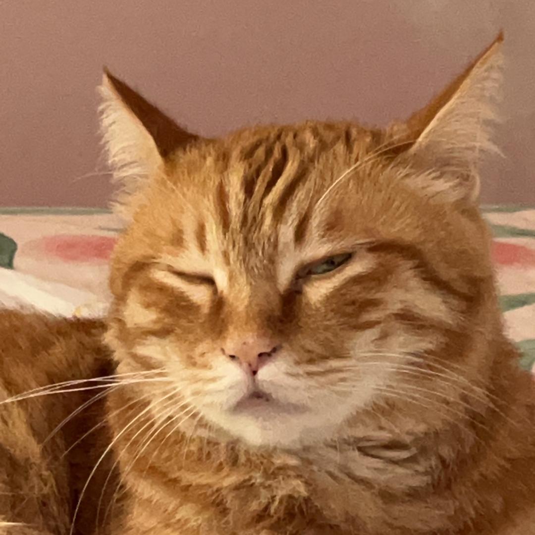 思思欸思思