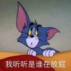 球迷营地
