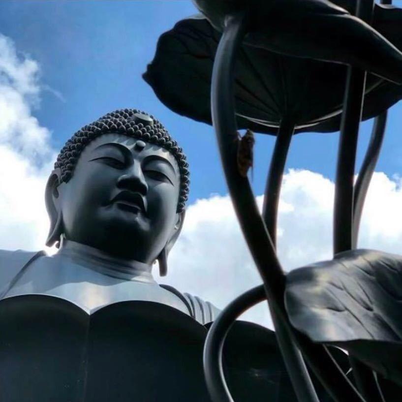 @大🌊海