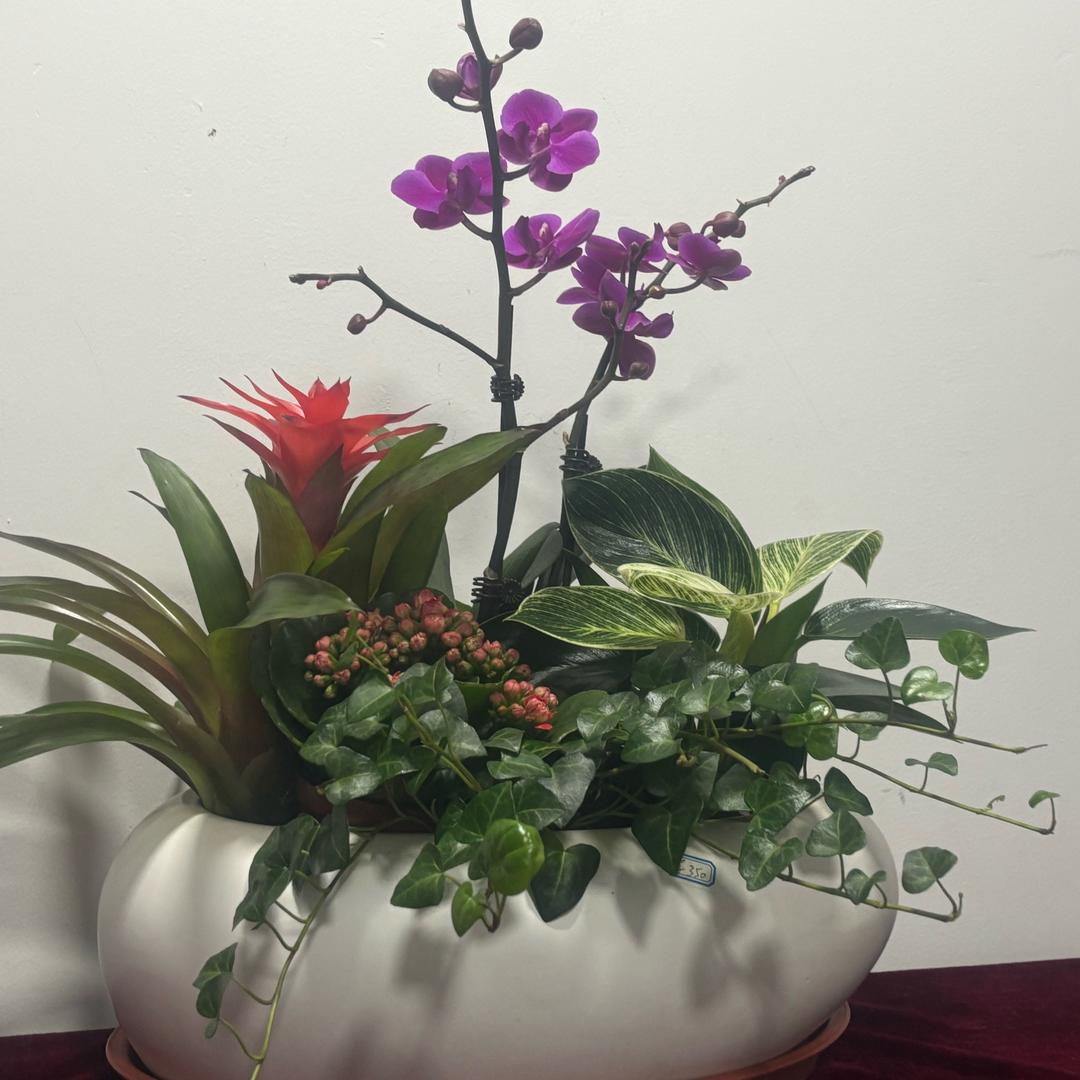 宁静天河