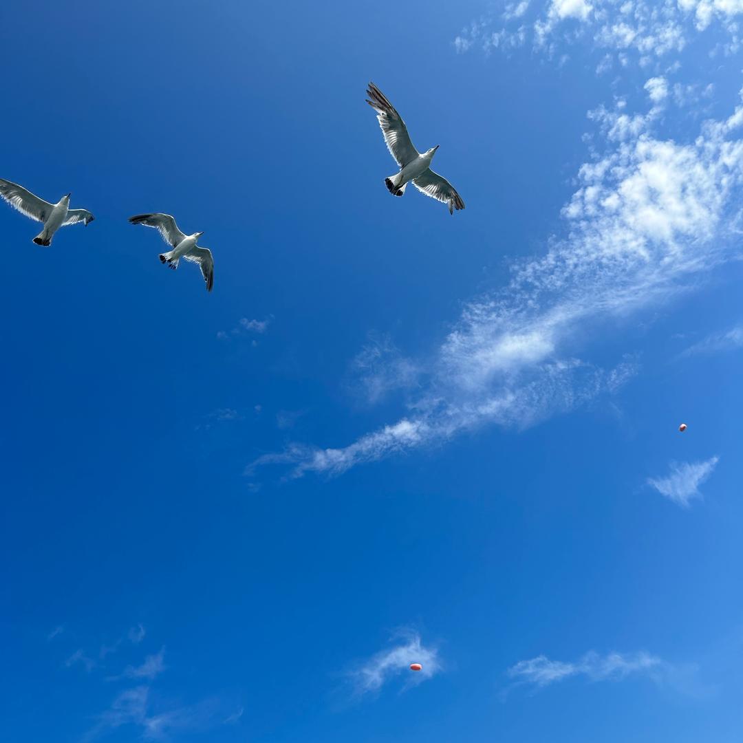 ༗郭ཻൢguo↝💞