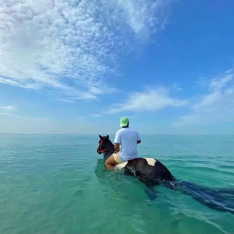 洛伽（昏死版）