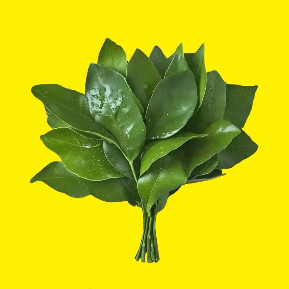 Peri