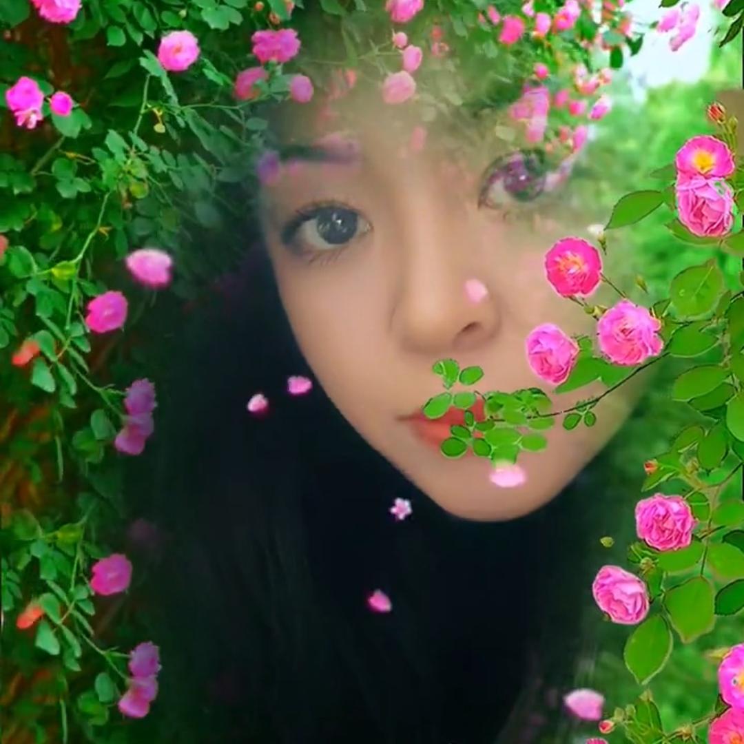 看月亮数星星大平子