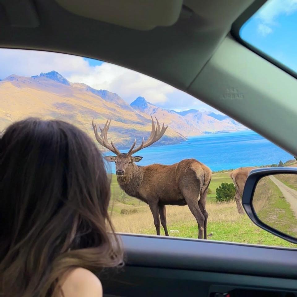 宁波荷韵文化优品铺子