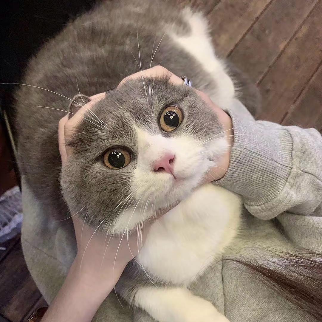 静静💫