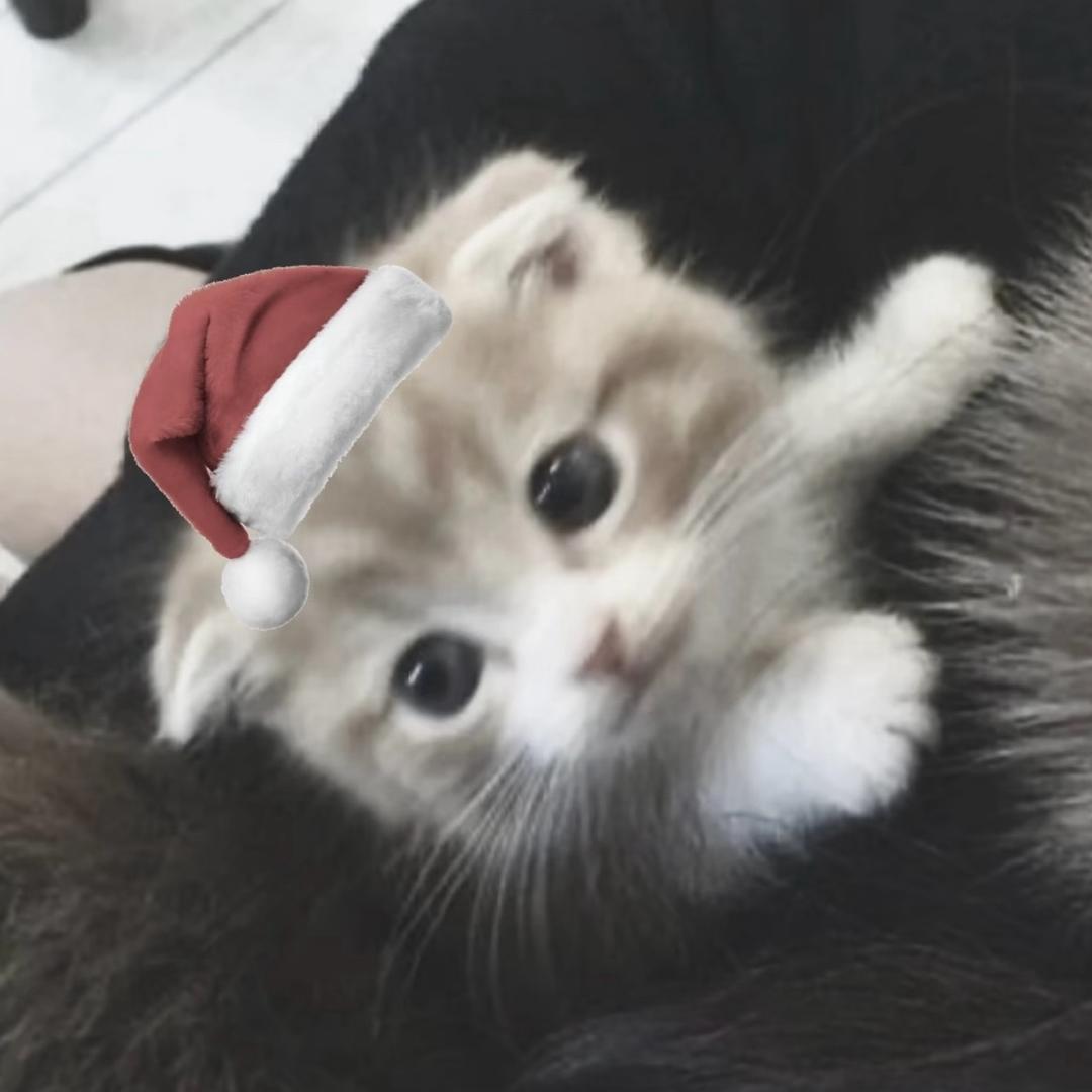 ㅤㅤ小蕾