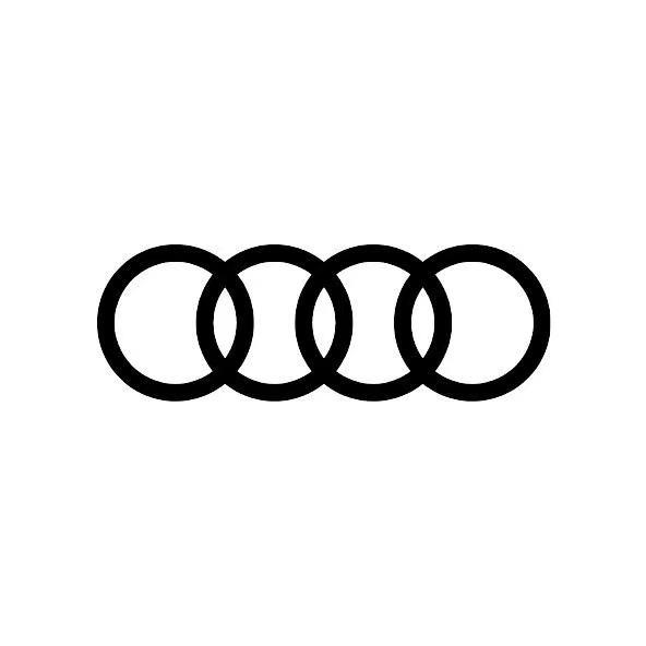 一汽奥迪新能源-丹阳奥达