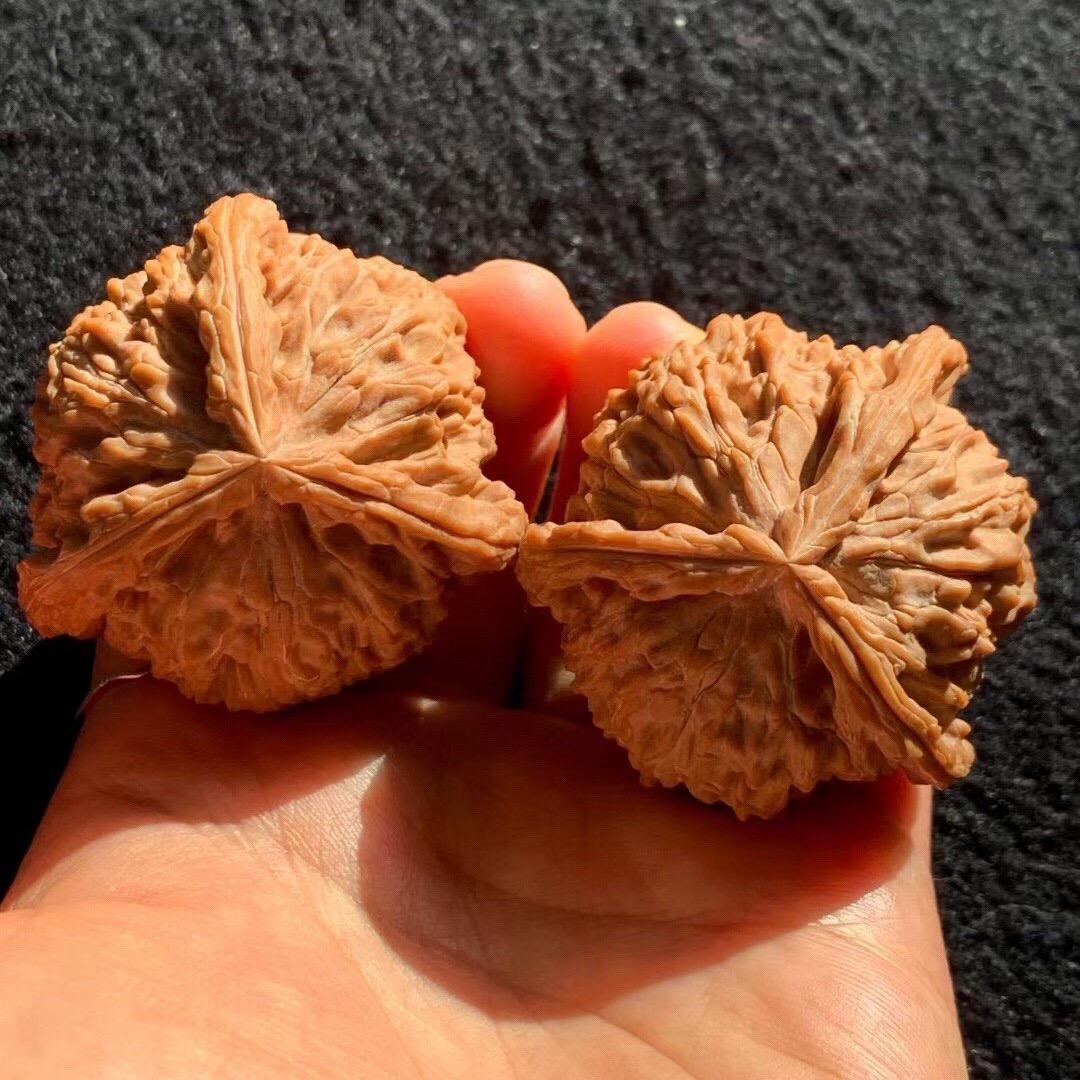 珠联璧核文玩