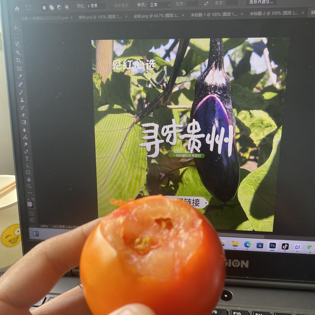 黔城正安山货农产品