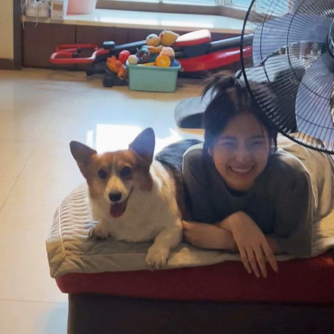 小谷小谷一身傲骨