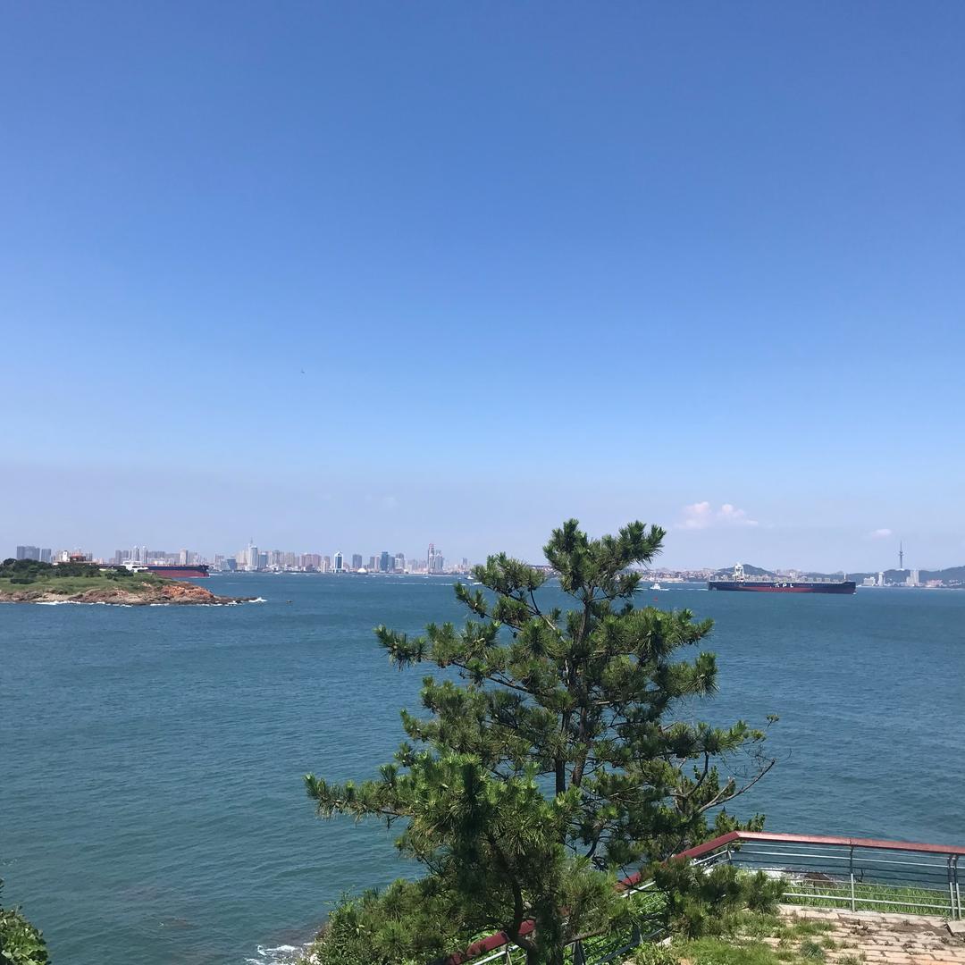 溪之老狼