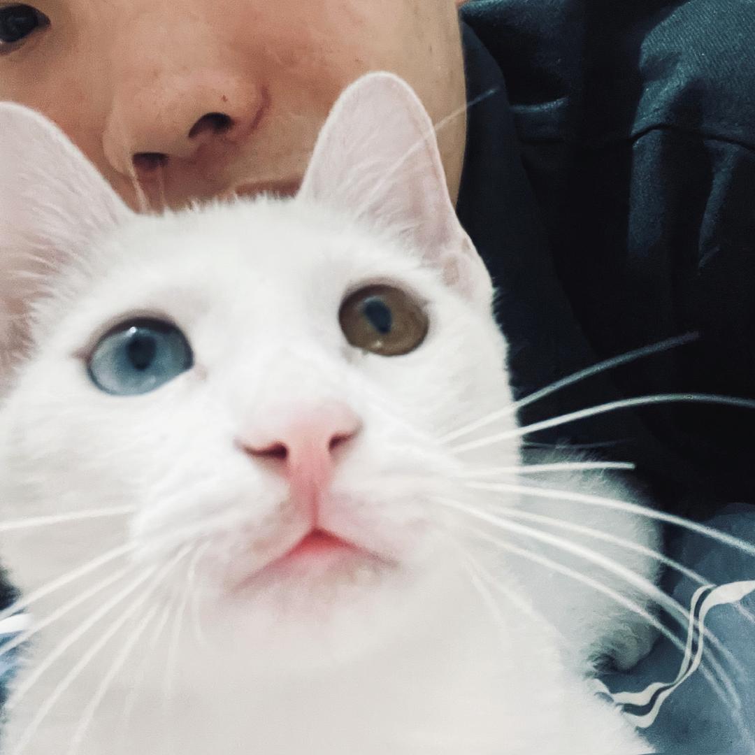 吃了藤藤菜长得雀氏帅