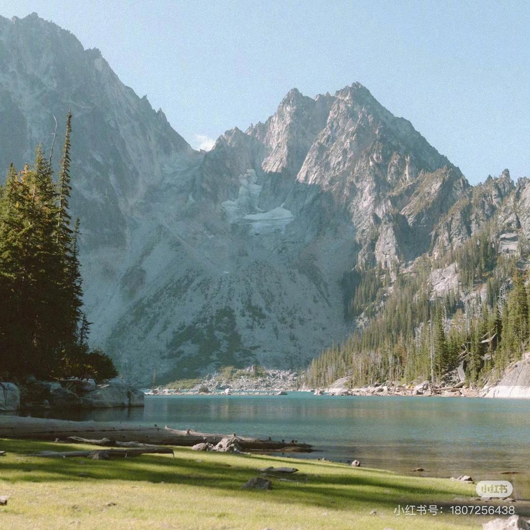 励志成长~刘主任