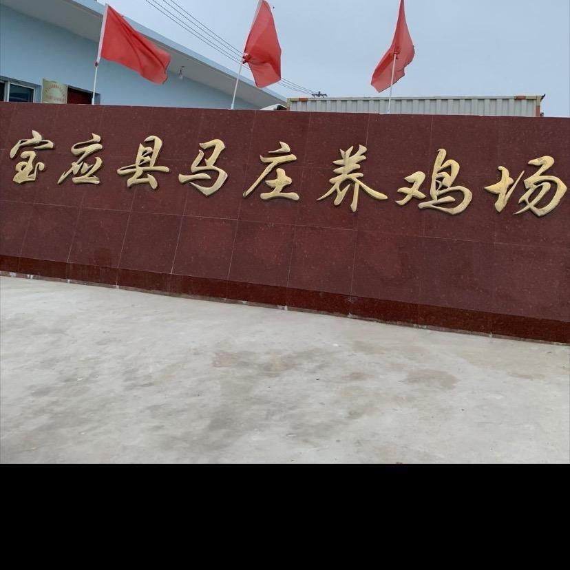 宝应县马庄养鸡场
