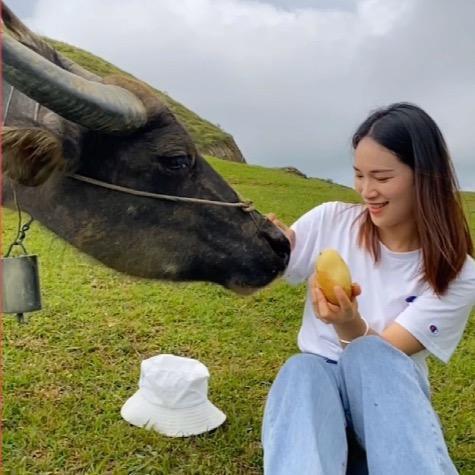 牛姑娘