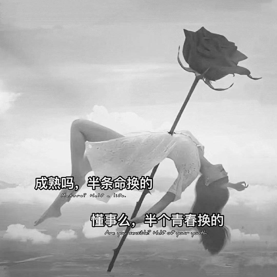鹤烟