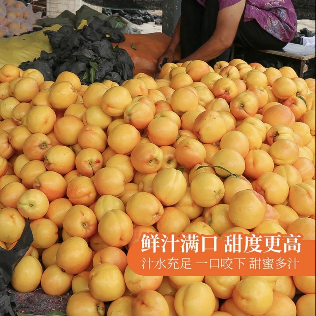 沂蒙好食品