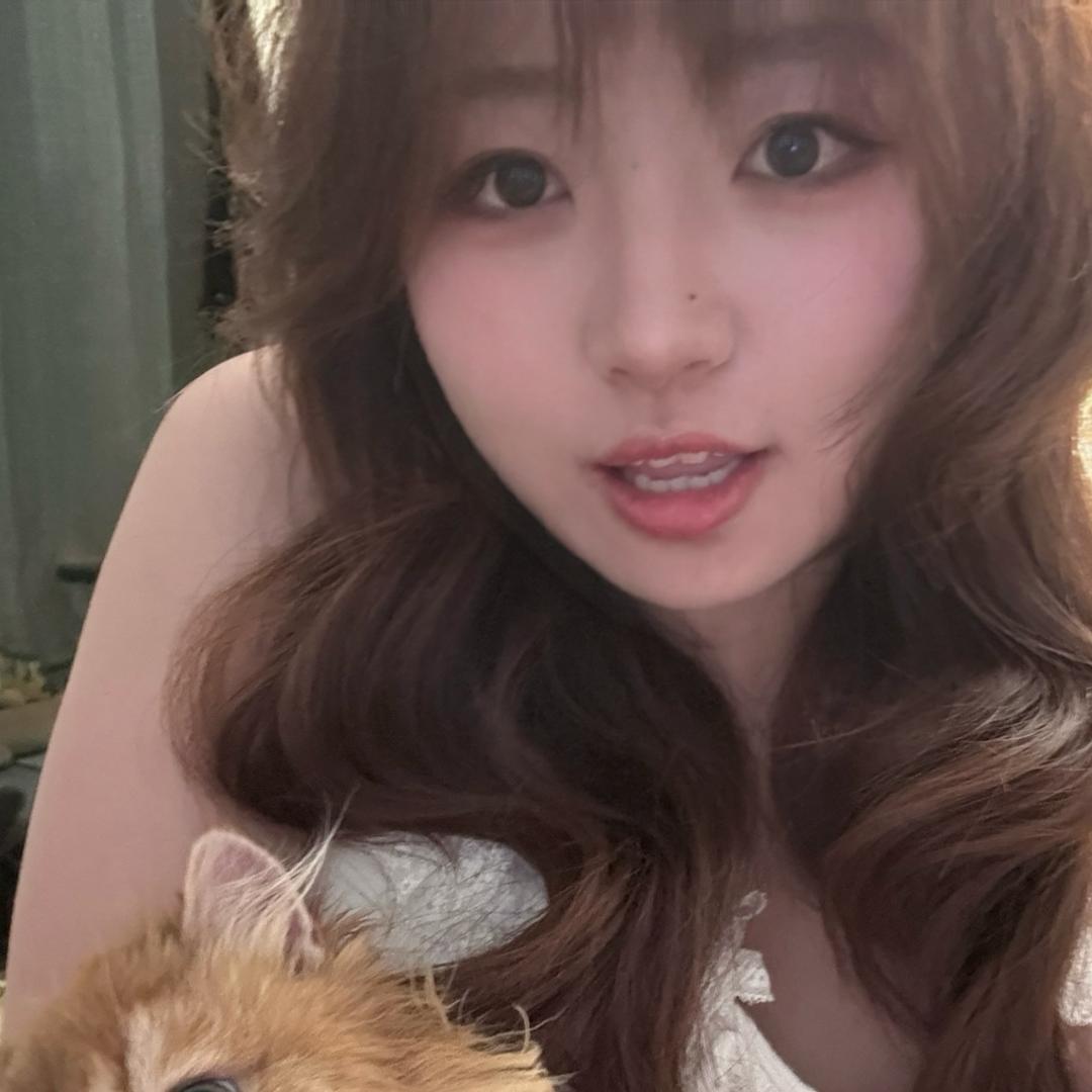 忆起塔塔