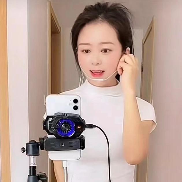 橙子果