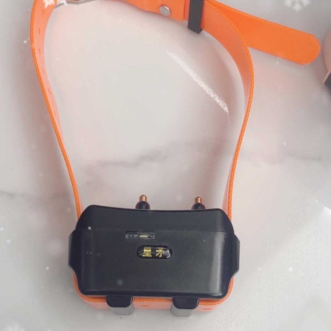 八戒大山装备狗狗用品