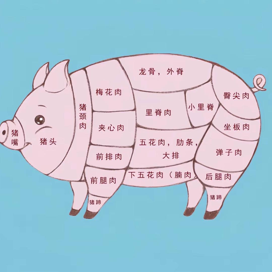 Aaa冻猪肉批发商